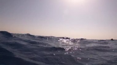 Sualtı kamerası, Mısır 'ın derinliklerine, Kızıl Deniz' e dalıyor. 4k video