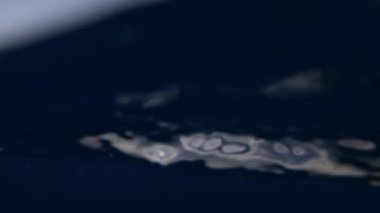 Sualtı kamerası, Mısır 'ın derinliklerine, Kızıl Deniz' e dalıyor. 4k video