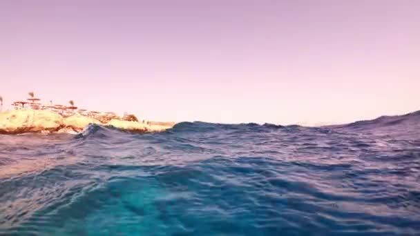 Υποβρύχια κάμερα βυθίζεται στο νερό και στα βάθη της Αιγύπτου, την Ερυθρά Θάλασσα. Βίντεο 4k — Αρχείο Βίντεο