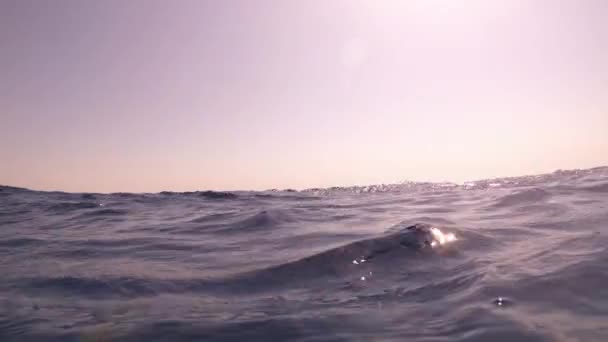 Sualtı kamerası, Mısır 'ın derinliklerine, Kızıl Deniz' e dalıyor. 4k video — Stok video