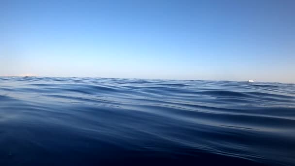 Υποβρύχια κάμερα βυθίζεται στο νερό και στα βάθη της Αιγύπτου, την Ερυθρά Θάλασσα. βίντεο hd — Αρχείο Βίντεο