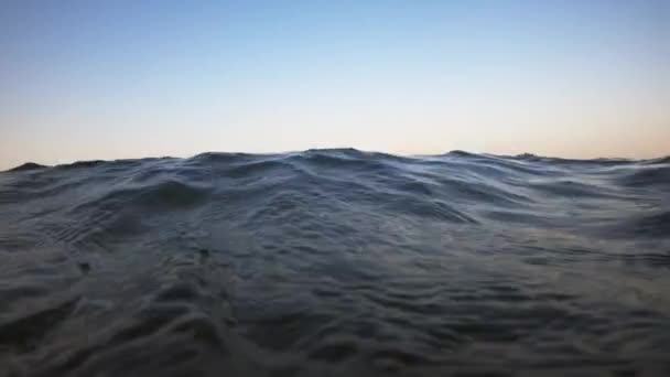Υποβρύχια κάμερα βυθίζεται στο νερό και στα βάθη της Αιγύπτου, την Ερυθρά Θάλασσα. Βίντεο 4k — Αρχείο Βίντεο