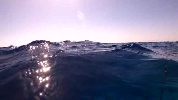 Underwater camera plunges over down into the water and into the depths of Egypt, the Red Sea. hd video — Stock Video