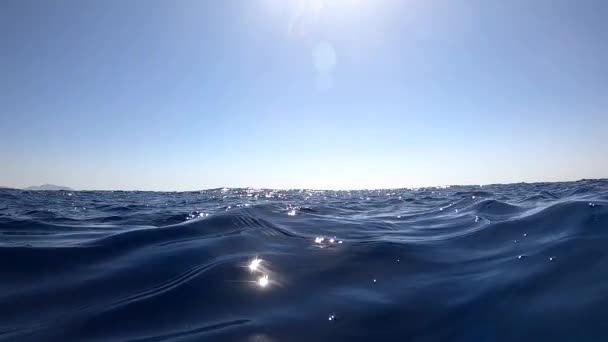 Undervattenskameran störtar ner i vattnet och ner i djupet av Egypten, Röda havet. hd-video — Stockvideo