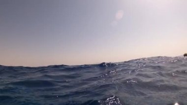 Sualtı kamerası, Mısır 'ın derinliklerine, Kızıl Deniz' e dalıyor. 4k video