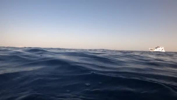 Podwodna kamera wpada do wody i w głąb Egiptu, Morza Czerwonego. 4k wideo — Wideo stockowe