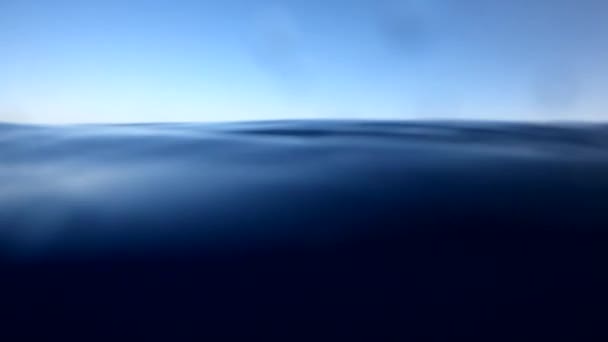 Víz alatti kamera zuhan le a vízbe, és Egyiptom mélységeibe, a Vörös-tengerbe. hd videó — Stock videók