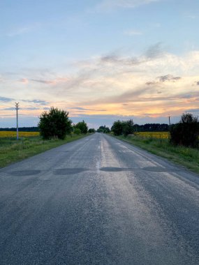 Ukrayna 'da çiçek açan ayçiçekleriyle tarlalar arasında yol