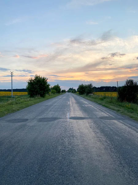 Дорога між полями і квітучими соняшниками в Україні. — стокове фото