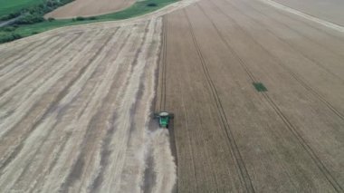 4k hava görüntüsü tarladaki hasat hasadını birleştiriyor