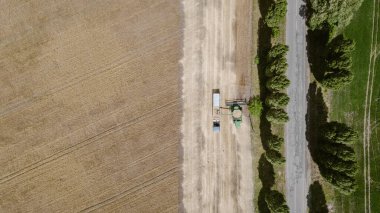 Hava manzaralı, hasatçı kamyonun römorkuna ekin döküyor.