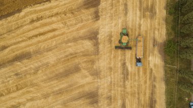 Hava görüntüsü tarladaki hasatçıları birleştiriyor.