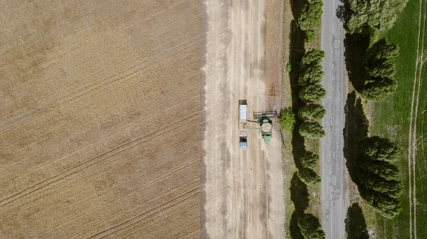 Flygfoto med skördare dumpning gröda i en lastbil släpvagn — Stockfoto