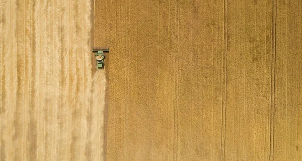 Aerial view combineer oogsten op het veld — Stockfoto