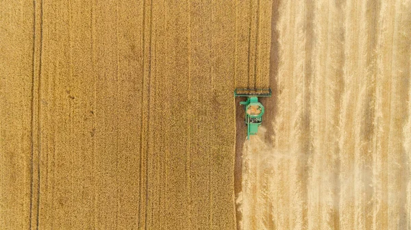 Hava görüntüsü tarladaki hasatçıları birleştiriyor. — Stok fotoğraf