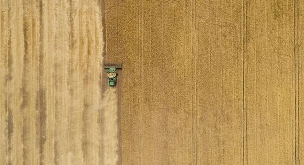 Vue aérienne combiner la récolte de la moissonneuse sur le terrain — Photo