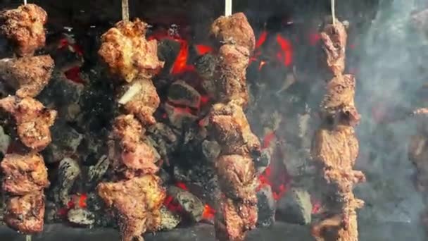 Carne di maiale kebab fritto su una griglia di metallo sopra carbone — Video Stock