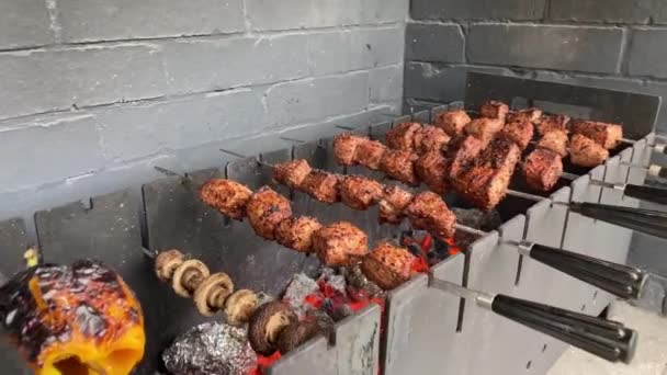 Свинячий шашлик з овочами, обсмаженими на металевому грилі над вугіллям — стокове відео