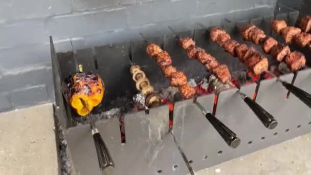 Svinekød kebab med grøntsager stegt på en metalgrill over trækul – Stock-video