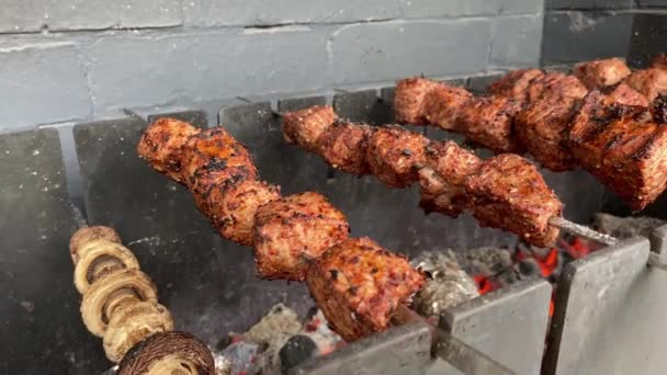 Kebab de porc cu legume prăjite pe un grătar metalic peste cărbune — Videoclip de stoc