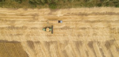 Hava görüntüsü tarladaki hasatçıları birleştiriyor.