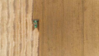 Hava görüntüsü tarladaki hasatçıları birleştiriyor.