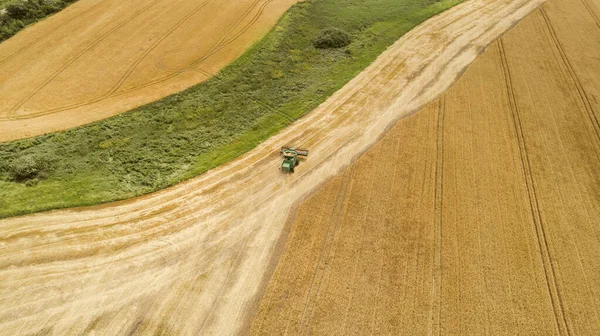 Aerial view combine harvester harvesting on the field — Stock Photo, Image