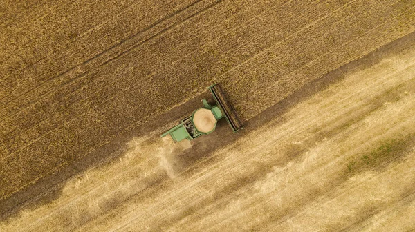 Hava görüntüsü tarladaki hasatçıları birleştiriyor.