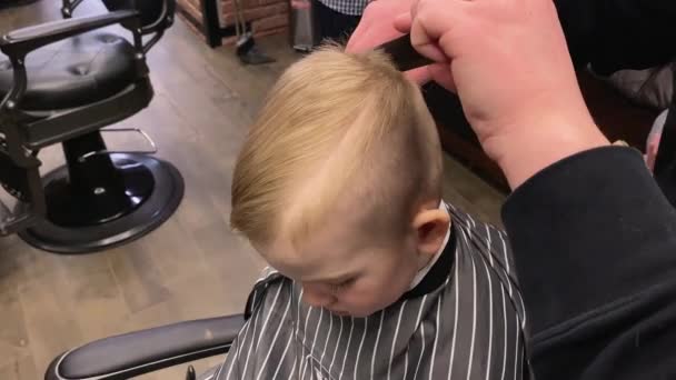 Master memotong rambut anak laki-laki kecil di salon — Stok Video