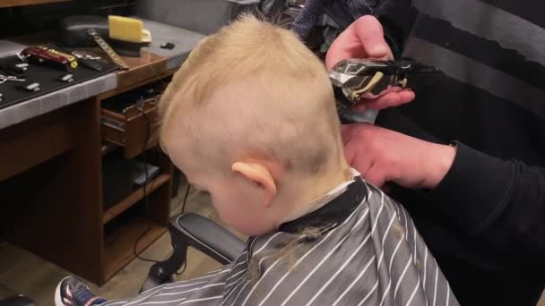 Хозяин стрижет мальчиков в парикмахерской — стоковое видео
