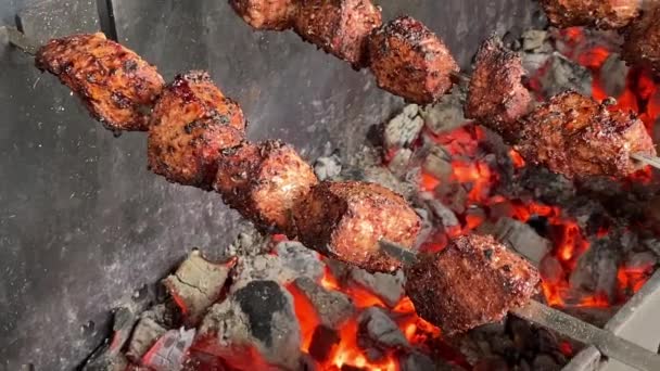 Свинячий шашлик смажений на металевому грилі над вугіллям — стокове відео
