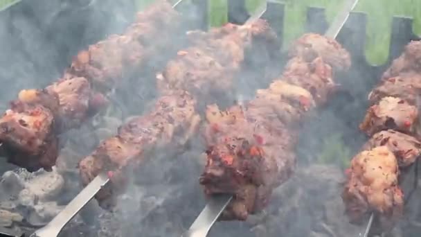Kebab de porco frito em uma grade de metal sobre carvão vegetal — Vídeo de Stock