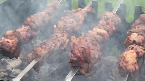 Fläskkebab stekt på en metallgrill över träkol — Stockvideo