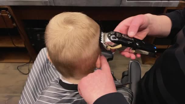 Master cuts a little boys hair in a barbershop — Stock Video