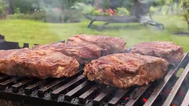 Vařím telecí steaky na grilu. Žebírko na uhlících — Stock video