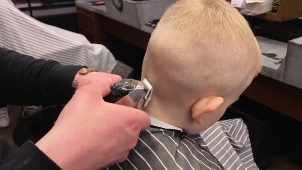 Mistrz strzyże chłopaków w fryzjerze. — Wideo stockowe