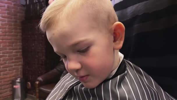 Master cuts a little boys hair in a barbershop — Stock Video