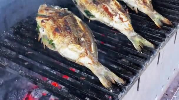 4k metraje barbacoa mariscos a la parrilla camarones y pescado — Vídeo de stock