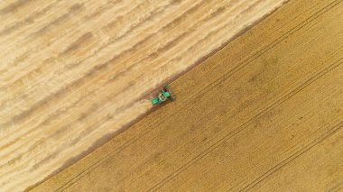 Hava görüntüsü tarladaki hasatçıları birleştiriyor.