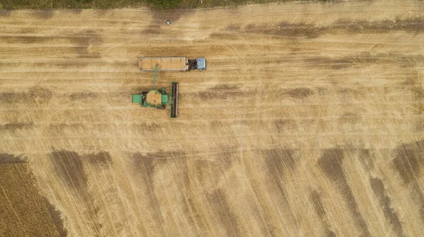 Hava görüntüsü tarladaki hasatçıları birleştiriyor.
