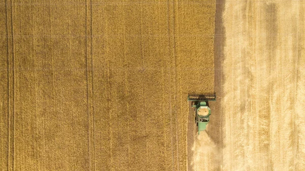 Hava görüntüsü tarladaki hasatçıları birleştiriyor.