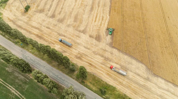 Luftaufnahme mit Erntemaschine, die Erntegut in einen LKW-Anhänger kippt — Stockfoto