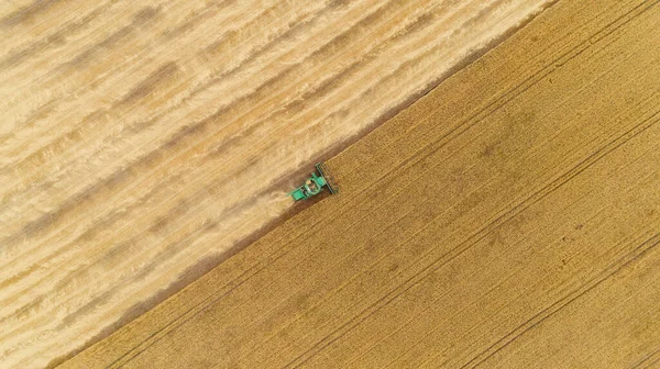 Hava görüntüsü tarladaki hasatçıları birleştiriyor.