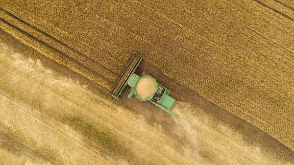 Hava görüntüsü tarladaki hasatçıları birleştiriyor.