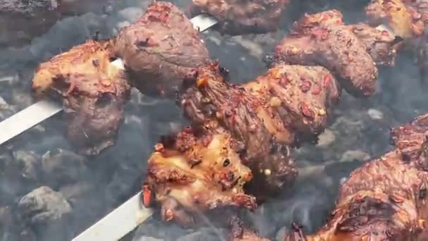 Svinekød kebab stegt på en metal grill over trækul – Stock-video