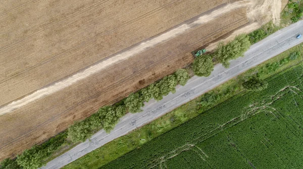 Vista aerea mietitrebbia raccolta sul campo — Foto Stock