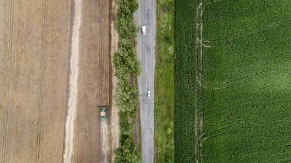Vista aérea combinar colheitadeira colheita em campo — Fotografia de Stock