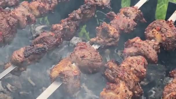 Fläskkebab stekt på en metallgrill över träkol — Stockvideo