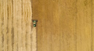 Hava görüntüsü tarladaki hasatçıları birleştiriyor.