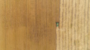 Hava görüntüsü tarladaki hasatçıları birleştiriyor.